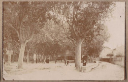 CARTE PHOTO CPA PHOTO 26 DONZERE - TB PLAN Place CENTRE Arbres + ANIMATION Joueurs De Boules ? Pétanque ? - Donzere