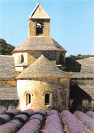 84 GORDES Abbaye De SENANQUE  Lavandes Et Chevet De L'église Abbatiale  N° 6 \MK3014 - Gordes
