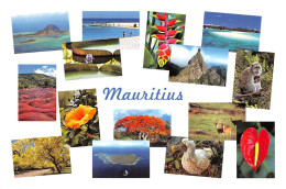 ILE MAURICE MAURITIUS Divers Vues N° 17 \MK3033 - Maurice