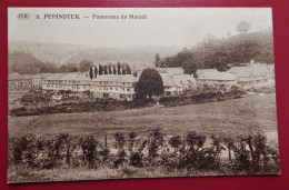 PEPINSTER  -  Panorama De Matadi - Pepinster