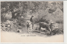 IDYLLECHAMPERA - Champéry