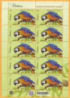 2023  Moldova Sheet Zoo „Faune. Chisinau Zoological Garden” Blue-and-yellow Macaw (Ara Ararauna) Mint - Papagayos