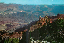 Etats Unis - Grand Canyon - Grand Canyon National Park - Etat De L'Arizona - Arizona State - Carte Dentelée - CPSM Grand - Grand Canyon