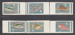 Vietnam Nord 1967 - Fishes, Mi-Nr. 485/90, Imperforated., MNH** - Vietnam