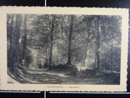 Bonsecours Sous-Bois - Péruwelz