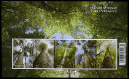 België BL172 ON - Natuur - Bomen - Zoniënwoud - Den - Beuk - Berk - Lork - Eik - Arbres - 2009 - Ongetand - Non Dentelé - Sonstige & Ohne Zuordnung