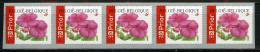 België R110 - Bloemen - Buzin (3347) - Impatiens - Vlijtig Liesje - 2004 - Strook Van 5 - Bande De 5  - Coil Stamps