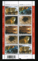 België 3174/78 F - Natuur - Mineralen - Velletje Van 10 (2 X 5w.) - MNH - 2001-2010