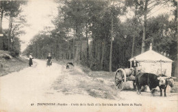 Fromentine * Route , L'orée De La Forêt Et La Fontaine De La Barre De Monts * Attelage Boeufs - Sonstige & Ohne Zuordnung