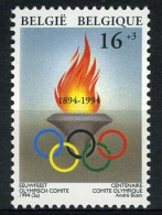 België 2540 - Sport - 100 Jaar Olympisch Comité - Olympische Vlam - Inverno1994: Lillehammer