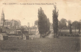 Caudry * Ancienne Avenue Du Château Sainte Maxellende - Caudry