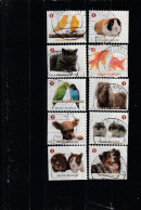 4230/4239 Animaux De Compagnie/Gezelschapsdieren Oblit/gestp Centrale - Oblitérés