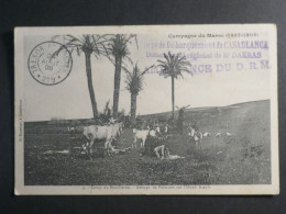 DM 9  CAMPAGNE DU MAROC  BELLE CARTE   RARE 1908 CORPS DE DEBARQUEMENT DE CASA +AFF. INTERESSANT+++ - Covers & Documents