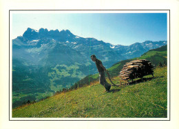 IMAGE ET MONTAGNE  - Cultures