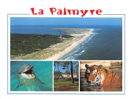17 Les Mathes La Palmyre Zoo Pointe De La Coubre  N° 65 \ML4008 - Les Mathes