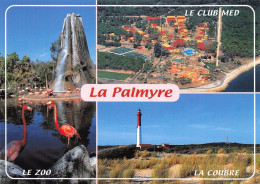 17 Les Mathes La Palmyre Zoo Club Med Phare    N° 57 \ML4008 - Les Mathes