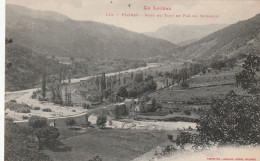 FLORAC  Pont Du Tarn Et Pre Du Seigneur    Edit  Labouche  No 113 - Florac