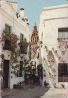 Spanien - Cordoba - The Flower Street - Córdoba