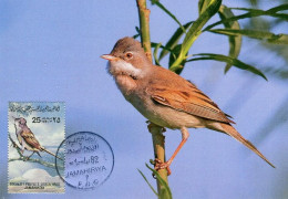 LIBYA 1982 Birds Bird "Common Whitethroat" (maximum-card) #3 - Passeri