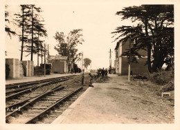 Donges * RARE Grande Photo Photographe * La Gare , Voie 1 Déposé , Cheminots , Ligne Chemin De Fer * 18x13.2cm - Other & Unclassified