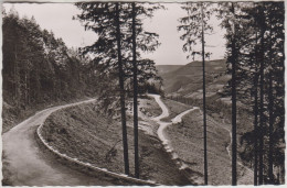 Allemagne - Blick Von Der Schwarzwaldhochstrasse Kniebis Auf Bad Peterstal/Schwarzwald - Bad Peterstal-Griesbach