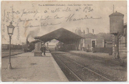 14 Vue De MEZIDON   Gare , Intérieur , Les Quais  Train - Stazioni Con Treni