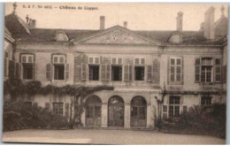 CPA. -   Château De Coppet.    Non écrite. - Coppet