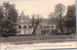 CPA. -   Château De Coppet, Construit En 1257 Par Pierre De Savoie, Ancienne Résidence De Madame De Staë.    Non écrite. - Coppet