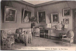CPA. -   Château De Coppet, Le Petit Salon.     Non écrite. - Coppet