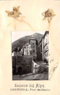 05-BRIANCON- SOUVENIR DES ALPES - EDELWEISS LA FLEUR DES GLACIERS - Briancon