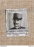 Decorato Medaglia D'argento Domenico Lamastina Di Pavia Guerra Mondiale WW1 - Autres & Non Classés