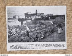 Il Villaggio Di San Antonio Nel 1936 Ibiza Isole Baleari Spagna - Other & Unclassified