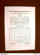Gruppo Industriale Ansaldo Sistema Industriale Verticale Creato Fratelli Perrone - Autres & Non Classés