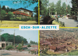 36567# ESCH SUR ALZETTE PAVILLON GALGENBIERG CAMPING JARDINS EDUCATIFS USINES SIDERURUGIQUE - Esch-sur-Alzette