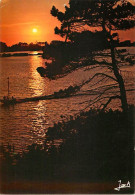 Coucher De Soleil - CPM - Voir Scans Recto-Verso - Controluce