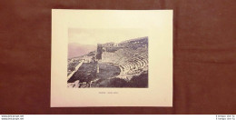 Segesta Nel 1900 Teatro Greco E Il Tempio Calatafimi Trapani Sicilia - Altri & Non Classificati