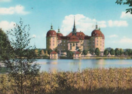 19062 - Schloss Moritzburg - Ca. 1985 - Moritzburg