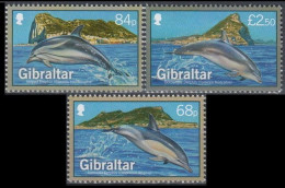 2014 Gibraltar 1622-1624 Marine Fauna - Dolphins 11,50 € - Delfini