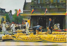 CPM Alkmaar Marché Aux Fromages - Käsemarkt - Alkmaar