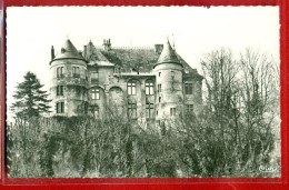 6908 - MONTATAIRE - CPSM - LE CHÃ‚TEAU - Montataire