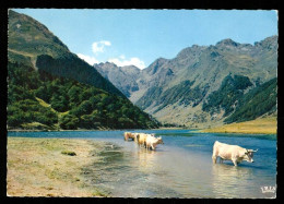 CAMPAN  Le Lac D'estaing édition Théojac - Campan