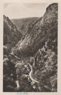 13567 - Bodetal Bei Thale ? - Ca. 1955 - Thale