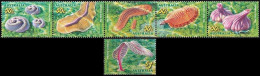 Australia 2005, Marine Life Prehistoric Animals Of The Seabed - 6 V. MNH - Marine Life