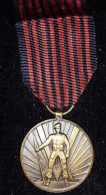 BELGIQUE WW2 1940 - 1945 Médaille Du Volontaire 40 - 45 - Belgique