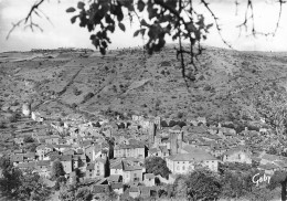 Blesle * Vue Générale Du Village - Blesle