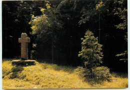 LANDEVENNEC L'entrée De L'abbaye édition Jos   UU1510 - Landévennec