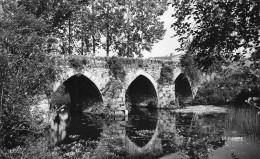 Montaigu * Vue Sur Le Pont Neuf - Montaigu