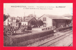 F-44-Machecoul-02h55 Vue Générale De La Distillerie St REMY, E. Remy Martin, Négociants à Cognac, Cpa - Machecoul