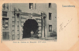 Luxembourg * Porte Du Château De Mansfeld - Luxemburg - Stadt