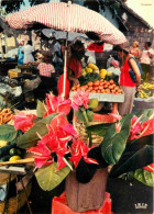 Guadeloupe - Pointe à Pitre - Le Marché Saint Antoine - Fruits Et Légumes - CPM - Voir Scans Recto-Verso - Pointe A Pitre